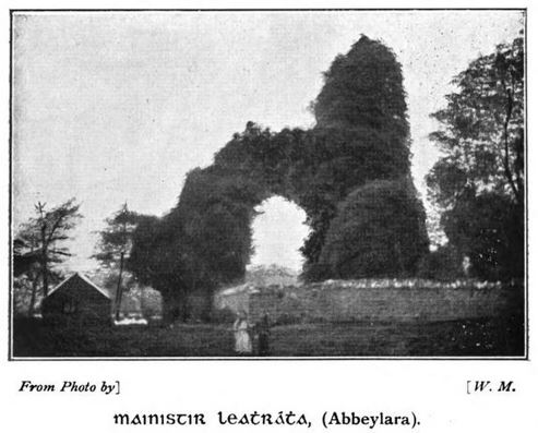 AbbeyLara Baron AbbeyLara Baron